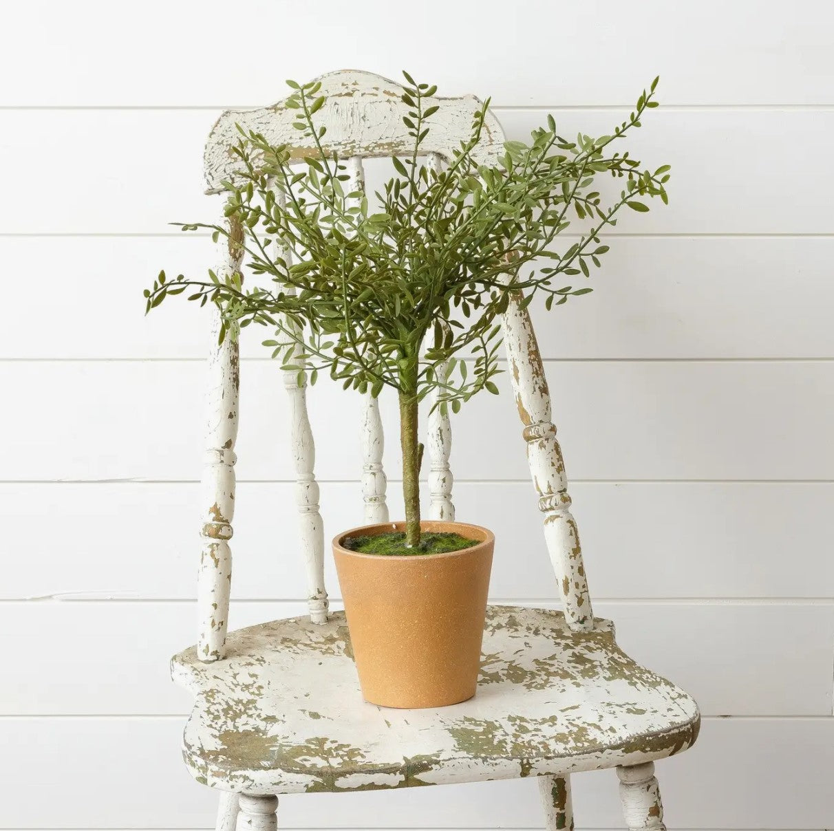 Potted Thyme Topiary | Faux Floral